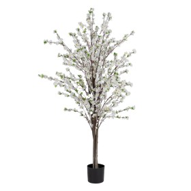 Decorative Plant Smile Silver Can Metal Plastic (26 x 26 x 26 cm) | Tienda24 - Global Online Shop Tienda24.eu