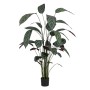 Plante décorative PVC Ciment Tissu 50 x 50 x 220 cm | Tienda24 - Global Online Shop Tienda24.eu