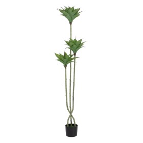 Decorative Plant Rubber polypropylene 70 x 70 x 130 cm | Tienda24 - Global Online Shop Tienda24.eu