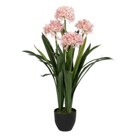 Decorative Plant Grey 16 x 21 x 16 cm Green Plastic | Tienda24 - Global Online Shop Tienda24.eu