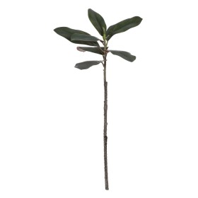 Decorative Plant 50 x 5 x 50 cm | Tienda24 - Global Online Shop Tienda24.eu