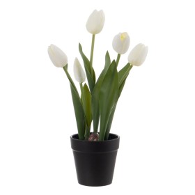 Plante décorative Mica Decorations Magnolia 35 x 40 cm | Tienda24 - Global Online Shop Tienda24.eu