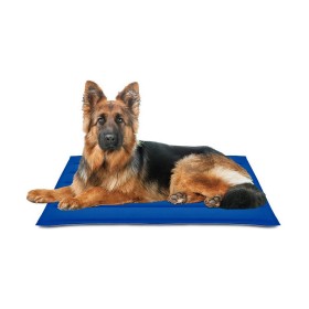 Tapete para Cão Dog Gone Smart Microfibras Azul escuro (89 x 66 cm) | Tienda24 Tienda24.eu