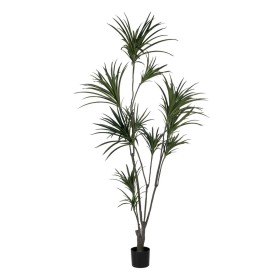 Plante décorative Caoutchouc polypropylène 90 X 90 X 220 CM de BigBuy Home, Plantes artificielles - Réf : S8806694, Prix : 98...