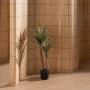 Decorative Plant Rubber 60 X 60 X 110 CM | Tienda24 - Global Online Shop Tienda24.eu