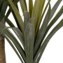 Decorative Plant Rubber 60 X 60 X 110 CM | Tienda24 - Global Online Shop Tienda24.eu