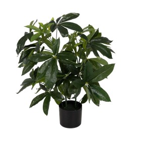 Plante décorative 50 X 50 X 70 CM de BigBuy Home, Plantes artificielles - Réf : S8806712, Prix : 31,19 €, Remise : %