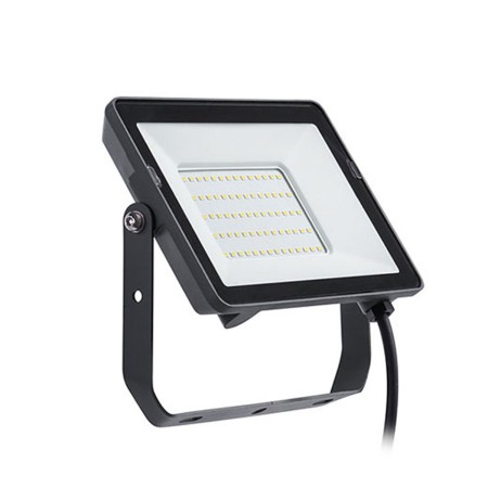 Floodlight/Projector Light Philips ProjectLine 4750 Lm 50 W 6500 K | Tienda24 Tienda24.eu