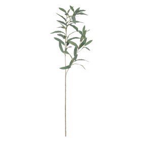 Decorative Plant DKD Home Decor PVC polypropylene 20 x 20 x 30 cm | Tienda24 - Global Online Shop Tienda24.eu