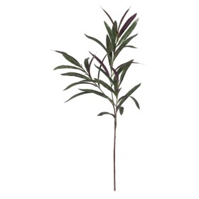 Decorative Plant DKD Home Decor Green PE (40 x 40 x 90 cm) | Tienda24 - Global Online Shop Tienda24.eu