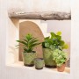 Planter Pistachio Ceramic 11,5 x 11,5 x 11 cm | Tienda24 - Global Online Shop Tienda24.eu