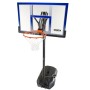 Basketball Basket Lifetime 122 x 305 x 46 cm | Tienda24 - Global Online Shop Tienda24.eu