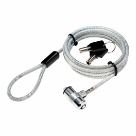 Cable de Seguridad Startech LTANCHORL | Tienda24 Tienda24.eu