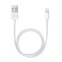 Lichtkabel Apple ME291ZM/A 50 cm Weiß | Tienda24 Tienda24.eu