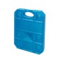 Kältespeicher Aktive Blau 750 ml 16 x 20 x 3,2 cm (12 Stück) | Tienda24 - Global Online Shop Tienda24.eu