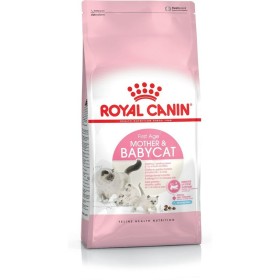 Aliments pour chat Royal Canin British Shorthair Adult Adulte 10 kg | Tienda24 - Global Online Shop Tienda24.eu