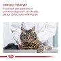 Cat food Royal Canin Adult Chicken Rice Corn Vegetable Birds 10 kg | Tienda24 - Global Online Shop Tienda24.eu