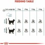 Cat food Royal Canin Adult Chicken Rice Corn Vegetable Birds 10 kg | Tienda24 - Global Online Shop Tienda24.eu