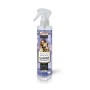 Eliminatore di odori Certech 16687 Antimacchia 250 ml | Tienda24 - Global Online Shop Tienda24.eu