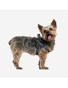 Hundegeschirr Star Wars Schwarz XS/S | Tienda24 Tienda24.eu