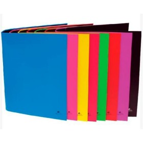 Carpeta de anillas Oxford EuropeanBinder Multicolor A4+ (10 Unidades) | Tienda24 Tienda24.eu