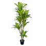 Planta Decorativa Poliuretano Cemento 180 cm | Tienda24 Tienda24.eu