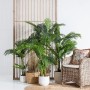 Decorative Plant Polyethylene Palm tree 170 cm | Tienda24 Tienda24.eu