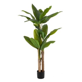 Dekorationspflanze Dracaena Braun grün PVC 140 cm | Tienda24 Tienda24.eu