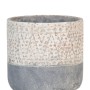 Planter Grey Cement 18 x 18 x 18,5 cm | Tienda24 Tienda24.eu