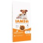 Hundefutter IAMS Vitality Puppy & Junior Small & Medium Huhn 12 kg | Tienda24 Tienda24.eu