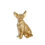 Figurine Décorative Romimex Chihuahua Doré 19 x 25 x 14 cm | Tienda24 Tienda24.eu