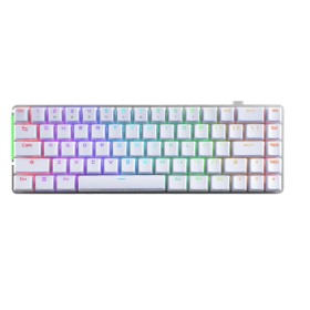 Clavier pour jeu Sharkoon SGK60 RGB | Tienda24 Tienda24.eu