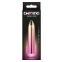 Kugelvibrator NS Novelties Chroma Bunt | Tienda24 - Global Online Shop Tienda24.eu