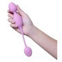 Boules d'Orgasme Blush Wellness Silicone ABS | Tienda24 - Global Online Shop Tienda24.eu