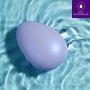 Vibrador Anal Negro Blush Wellness Morado | Tienda24 - Global Online Shop Tienda24.eu