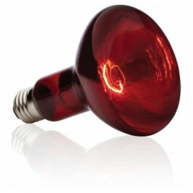 Light bulb Exo Terra Terrarium 80 W | Tienda24 Tienda24.eu