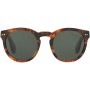 Ladies' Sunglasses Ralph Lauren RL 8146P | Tienda24 Tienda24.eu