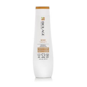 Champô Expert Silver L'Oreal Professionnel Paris (500 ml) | Tienda24 Tienda24.eu