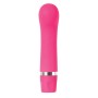 Vibrator Evolved Pink | Tienda24 - Global Online Shop Tienda24.eu