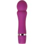 Mini-Vibrator Evolved Cherub Purple | Tienda24 - Global Online Shop Tienda24.eu