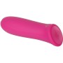 Mini Vibrador Evolved Pretty Cor de Rosa | Tienda24 - Global Online Shop Tienda24.eu