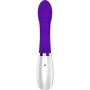 G-Spot Vibrator Evolved Purple | Tienda24 - Global Online Shop Tienda24.eu