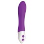 Vibratore Mini Evolved Viola | Tienda24 - Global Online Shop Tienda24.eu