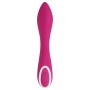 Vibratore Evolved Rosa | Tienda24 - Global Online Shop Tienda24.eu