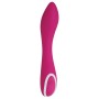 Vibratore Evolved Rosa | Tienda24 - Global Online Shop Tienda24.eu