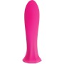 Mini Vibrador Evolved The Queen Cor de Rosa | Tienda24 - Global Online Shop Tienda24.eu