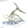 Action Figure Bandai PTERANODON | Tienda24 Tienda24.eu