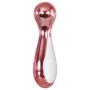 Bullet Vibrator Evolved Pink | Tienda24 - Global Online Shop Tienda24.eu