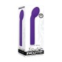 Vibrador de Ponto G Evolved Roxo | Tienda24 - Global Online Shop Tienda24.eu