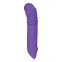 G-Punkt Vibrator Evolved Lila | Tienda24 - Global Online Shop Tienda24.eu